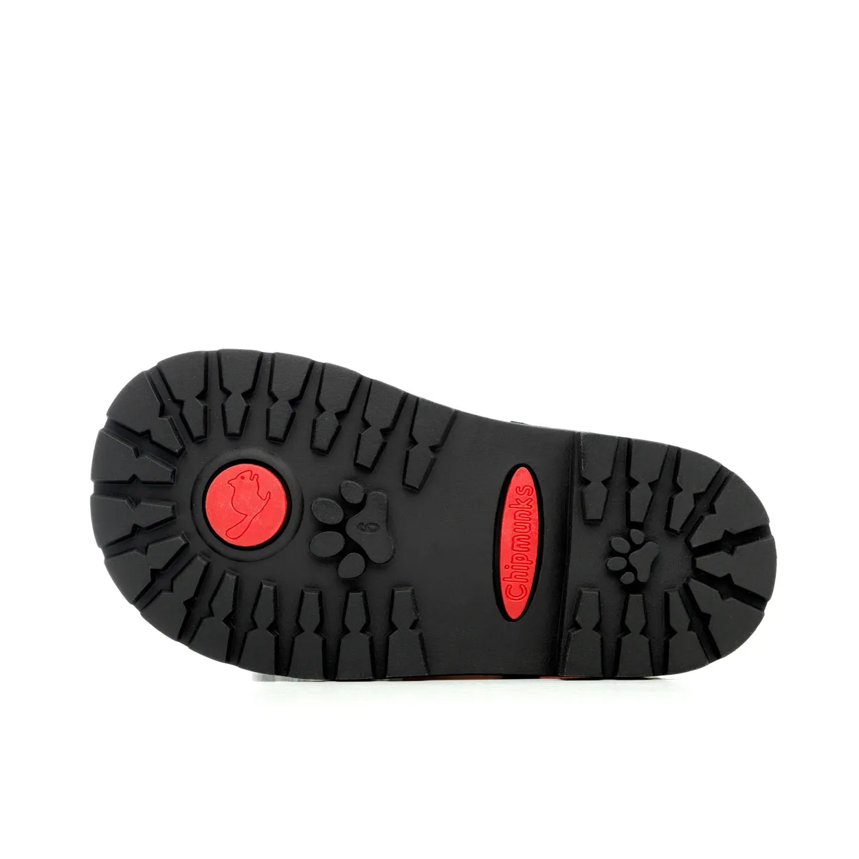 Chipmunks Liam Boys Black School Shoe