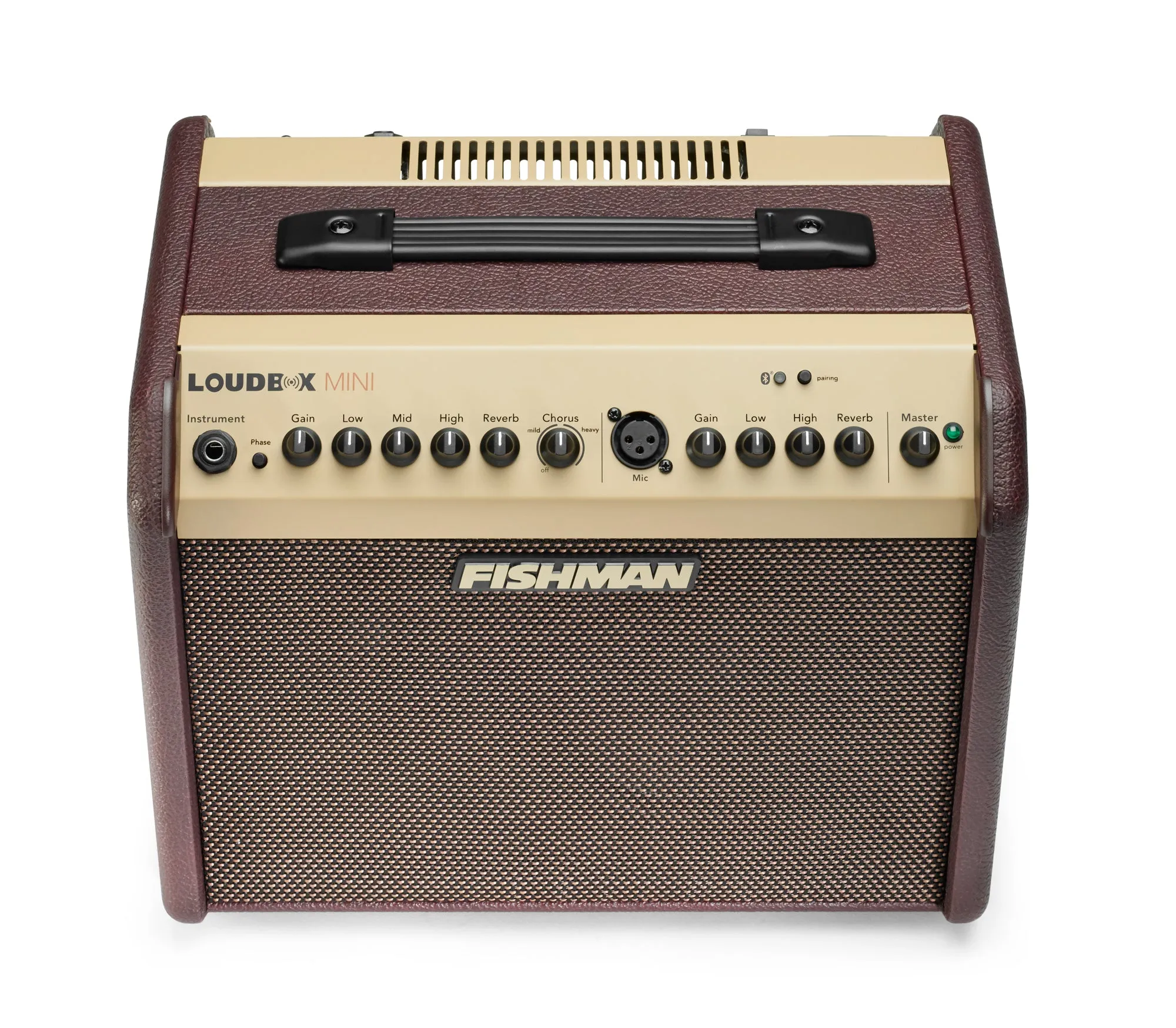 Fishman Loudbox Mini Amplifier