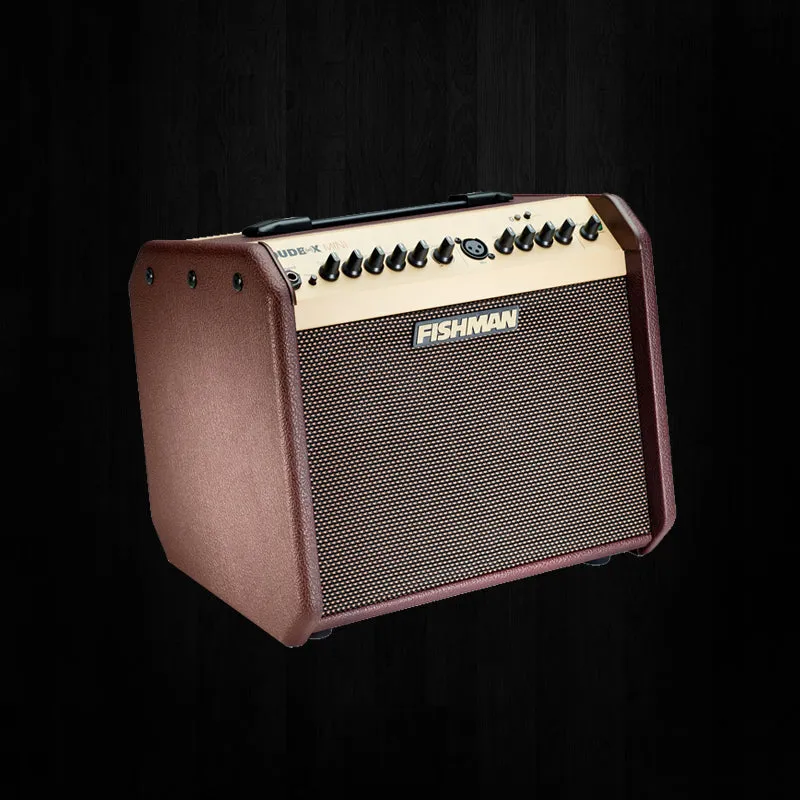 Fishman Loudbox Mini Amplifier
