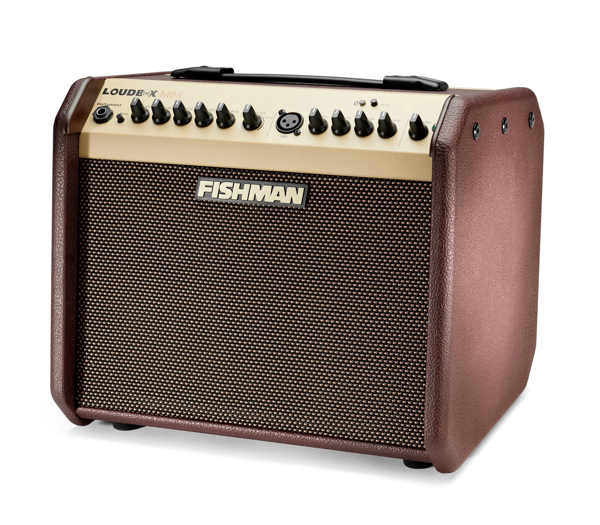 Fishman Loudbox Mini Amplifier