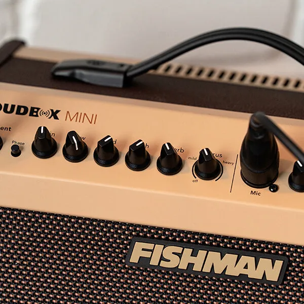 Fishman Loudbox Mini with Bluetooth Acoustic Guitar Amplifier w/ Reverb & Chorus