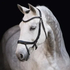 Schockemöhle Equitus Alpha Jumper/Dressage Bridle