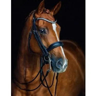 Schockemöhle Venice Dressage Bridle