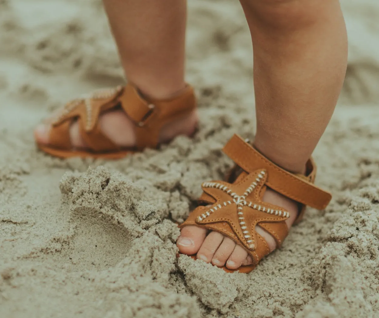 Ushy | Starfish | Toast Grain Leather